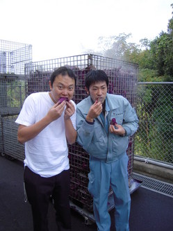 DSCN2451.JPG