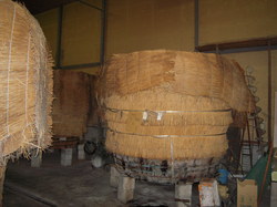 DSCN0335.JPG