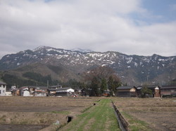 DSCN3099.jpg