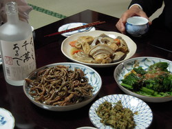 DSCN3101.jpg