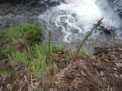 DSCN3102.jpg