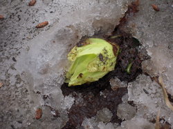 DSCN3111.jpg