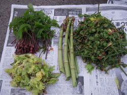 DSCN3118.jpg