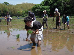 DSCN3135.JPG