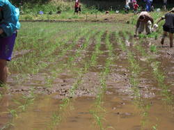 DSCN3136.JPG
