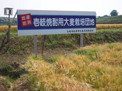 DSCN3173.JPG