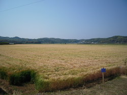 DSCN3175.JPG