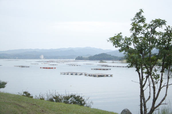 _MG_2571.JPG